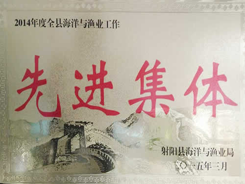 2014年度先进集体