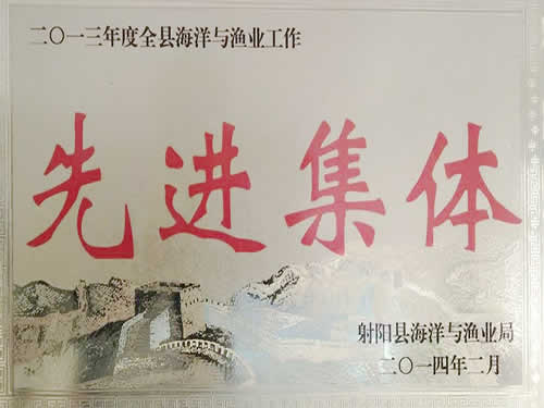 2013年度先进集体